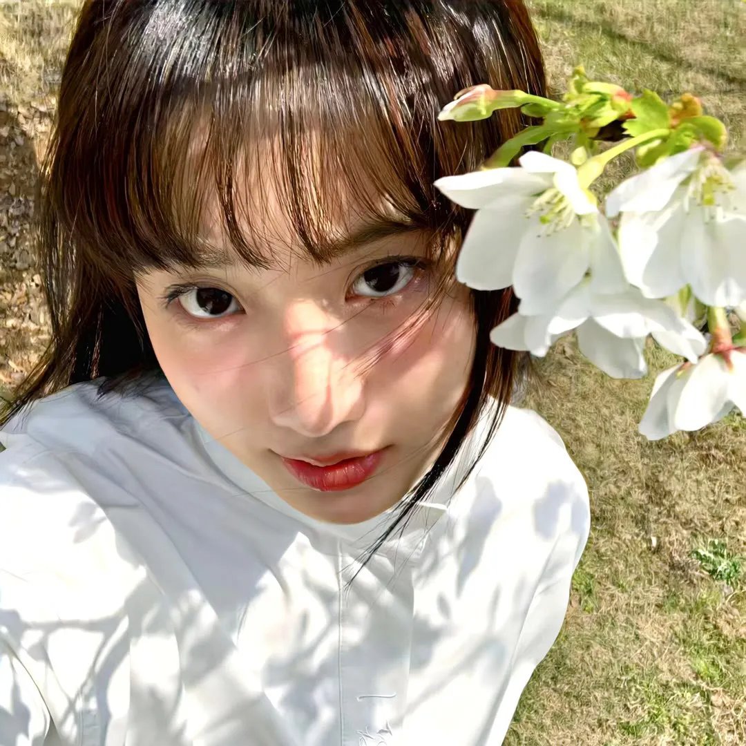 青春火花
